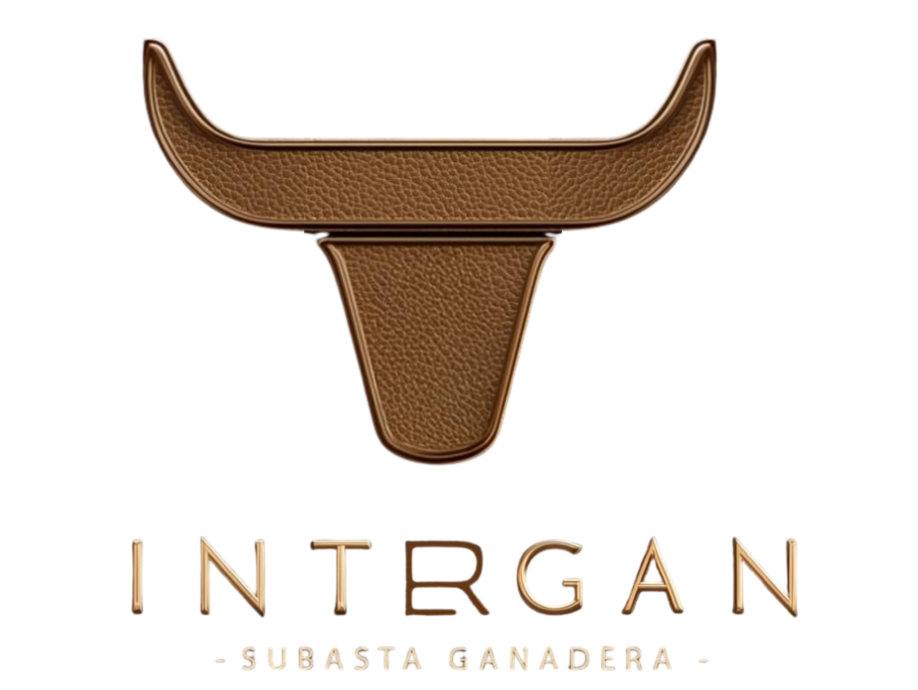 Logo de Intergan